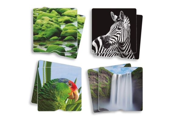 akr20411_20180209101112n