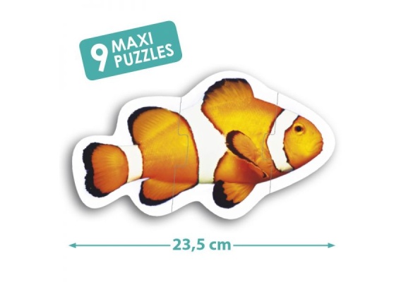 akr50221_20190522124612n