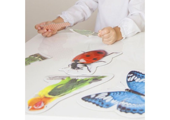 akr50221_20190522124623n