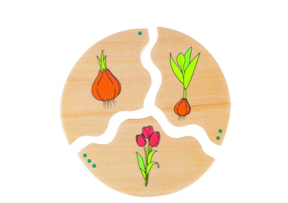 be11570_20220104132744n