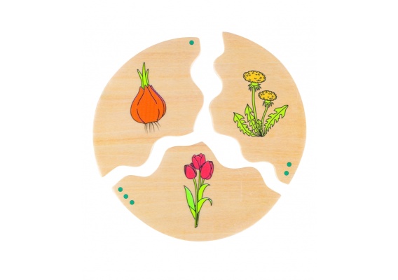 be11570_20220104132808n