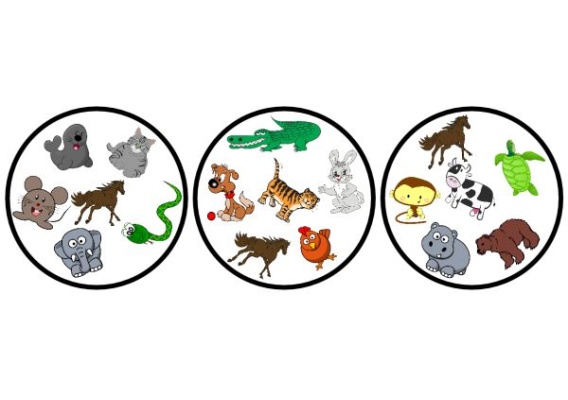 nim34556_20171115155627n