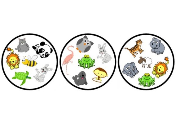 nim34556_20171115155632n