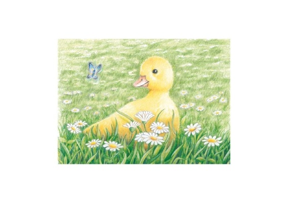 gkn57607_20181019111152n