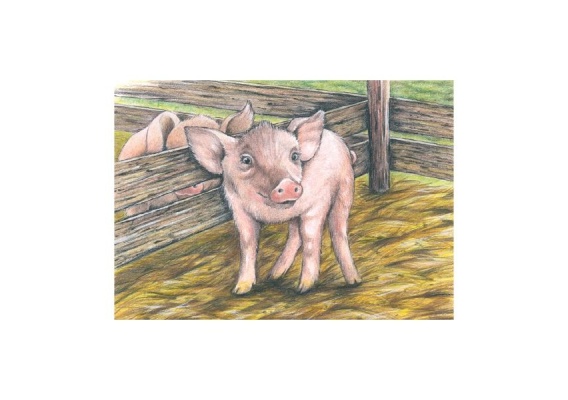 gkn57607_20181019111200n