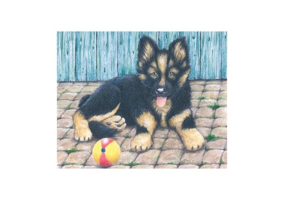 gkn57607_20181019111220n