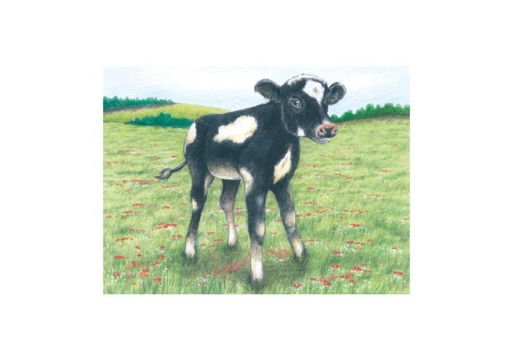 gkn57607_20181019111230n