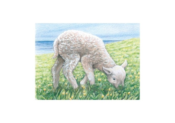 gkn57607_20181019111239n