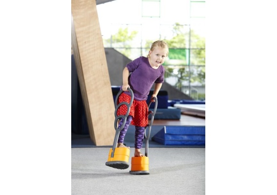 gs2195_20170125130532n