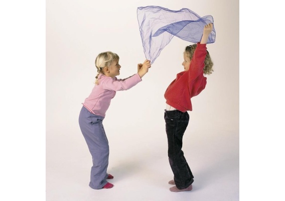 gs2306_20200805160326n