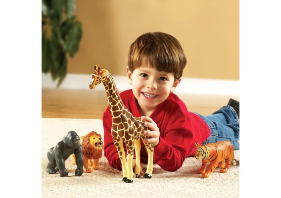 ler0693_20170126115659n