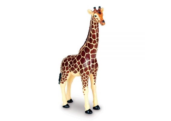 ler0693_20170126115709n