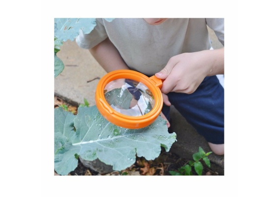 ler2775_20200910113824n