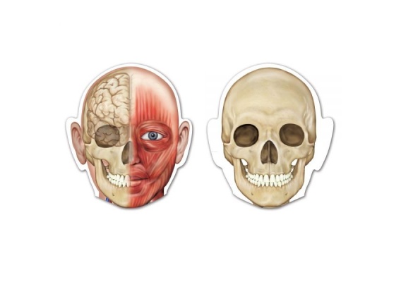 ler6044_20170130104504n