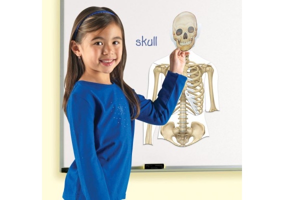 ler6044_20170130104518n