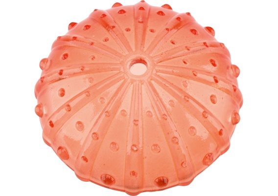 HOB202_4