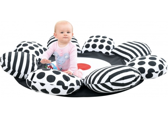 hob002j_20220823102841n