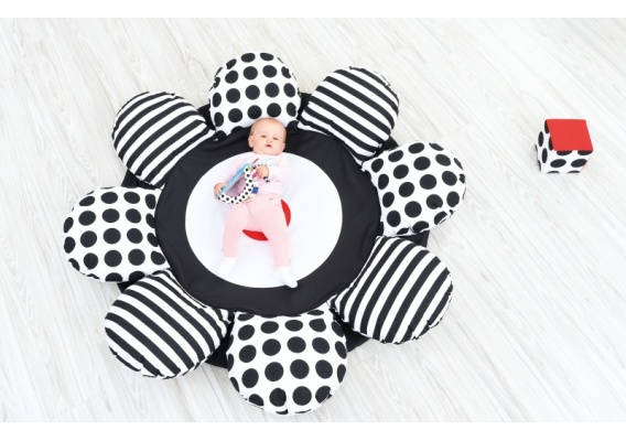 hob002j_20220823102857n