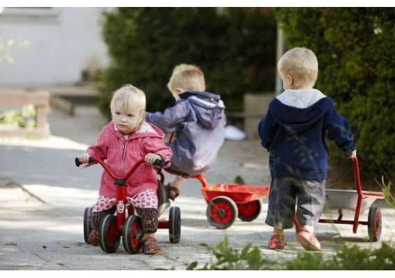 wgs41300_20180522152648n