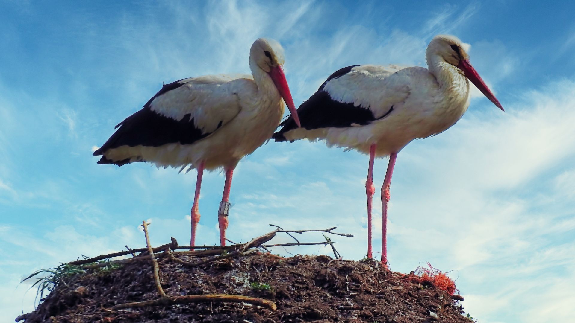tavasz es husvet az ovodaban golya