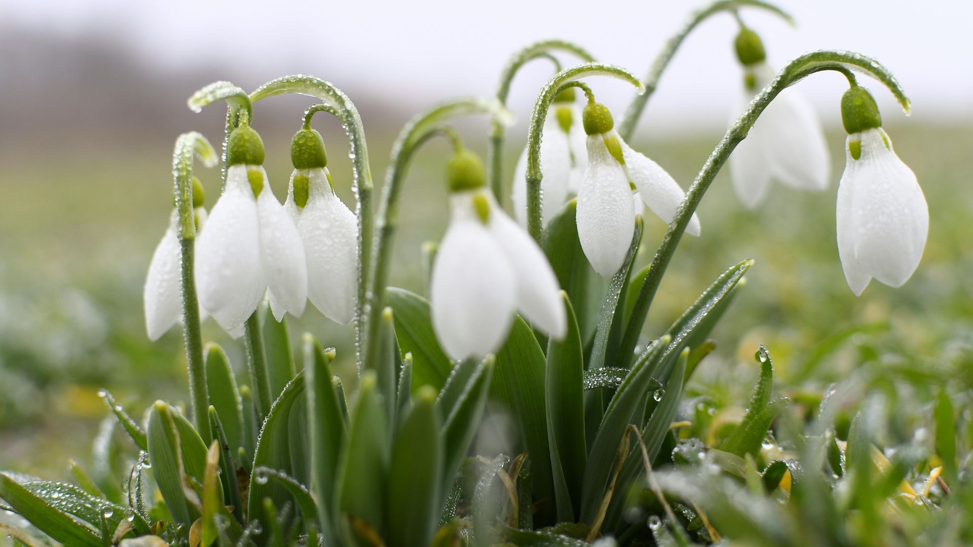 tavasz es husvet az ovodaban hovirag